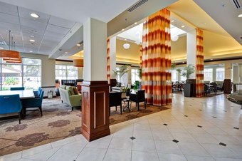 Hotel Hilton Garden Inn Tampa Northwest/oldsmar