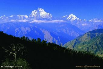 Hotel Tushita Nepal Yoga Retreat Center