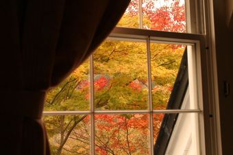 Hostal Sudomari Inn Guesthouse Nikko - Hostel