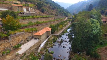 Quinta De Reci�o