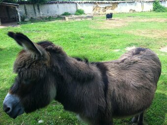 House With 2 Bedrooms In Anneyron, With Enclosed Garden And Wifi