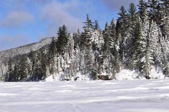 Posada La Tani�re De L'ours