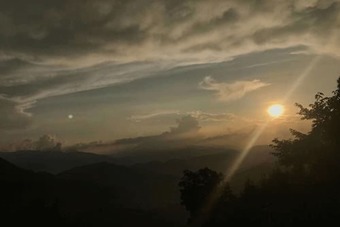 Bunjungle Adventures