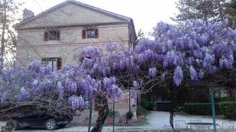 Agroturismo Casale La Fornace