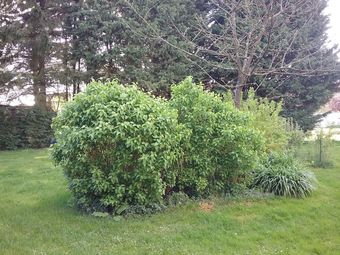 Hotel Chambre D'h�tes Coquelicot
