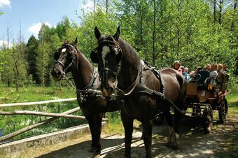 Bed & Breakfast Hotel Traumzeithof