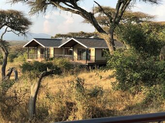 Lions Paw Ngorongoro