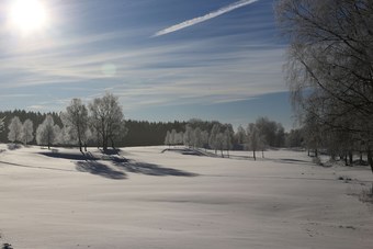 Hotel Woodlands Country Club