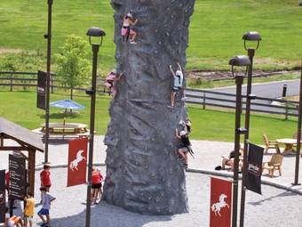 Hotel Horseshoe Resort