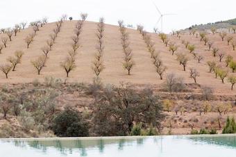 Chezmoihomes Cortijo El Conde Deluxe