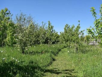The Lodge At Elmley Meadow