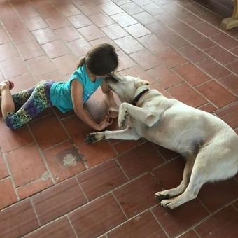 Agroturismo Ekoetno Selo Strug