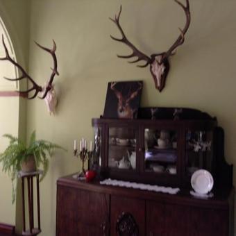 Hostal Pa?ac Mysliwski Orle