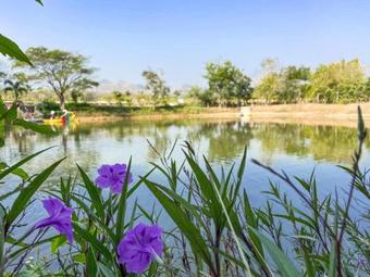 Hotel Alongkorn Farm And Resort