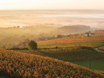 Luxurious Apartment On Pannonia Golf Course