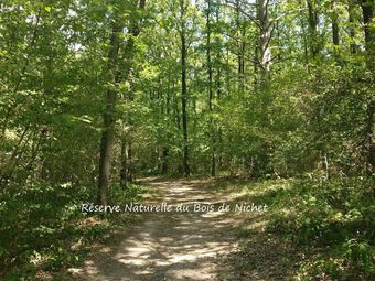 New House On The Edge Of A Large Forest, Large Garden,very Quiet, Beautiful Area
