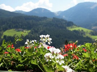 Splendid Apartment In Sankt Johann Im Pongau With Garden"