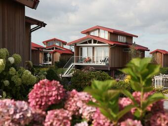 Detached Villa With Dishwasher, At 17 Km. From Leeuwarden