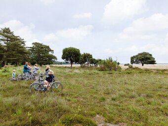 Single Storey Bungalow With A Wood Stove, Not Far From Assen