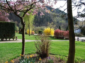 Cozy Holiday Home With Fireplace Close To Malm�dy