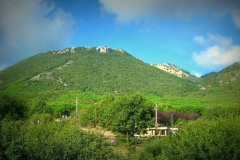 La Mariposa Bed & Breakfast