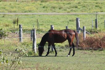 Hotel Airport Motel Sir Francis Drake