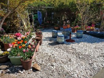 Hotel Komoda Il Sogno