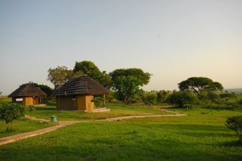 Posada Bwana Tembo Safari Lodge