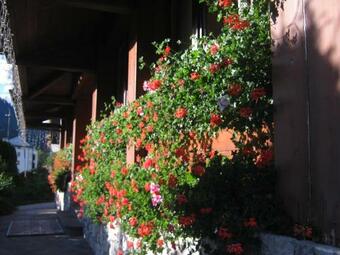 Hotel Albergo Dolomiti