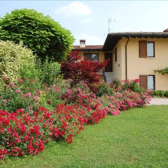 B&B Al Mulino