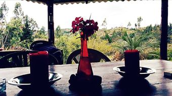 Hostal Gaia Sagrada Ayahuasca Retreat Center