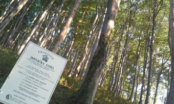 Vacation House Donacka Gora