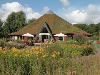 A Detached Cottage On The Edge Of The Dwingelderveld Nature Park
