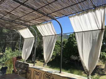 Ver fotos