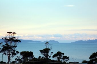 Hotel Dragonfly Lodge