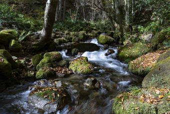 Hotel Kyukamura Oku-daisen