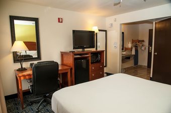 Hotel Holiday Inn Express Airport - Tucson