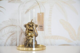 G�tes De La Ves�e