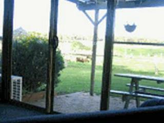 Hotel Sunflowers Animal Farm And Farmstay Guest House