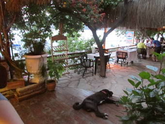 Bozburun Pembe Yunus Hotel