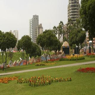 Ver fotos