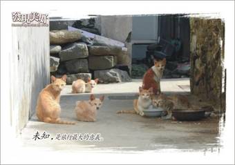 Penghu Hujung B&B
