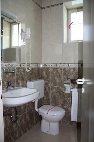 Hotel Alma - Grad Hrib