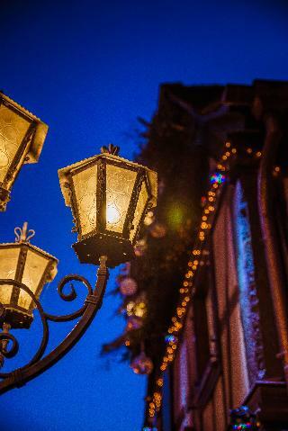 Hotel H�tel Restaurant Le Relais De La Poste