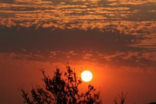 Hotel Soverby Guest House