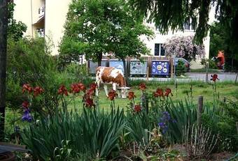 Hadassa Apartments Saba / Jona