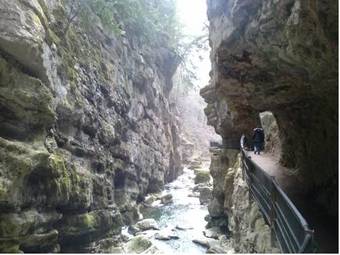 Posada Forellenhof Hotel De La Truite