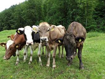 Hostal Hotel Pension De La Gare