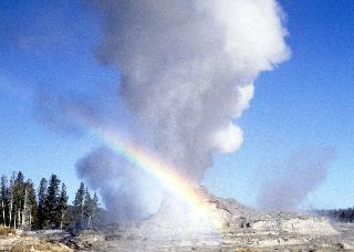 Hotel Old Faithful Snow Lodge & Cabins