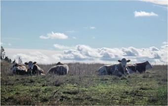 Holiday Home Katthammarsvik 48